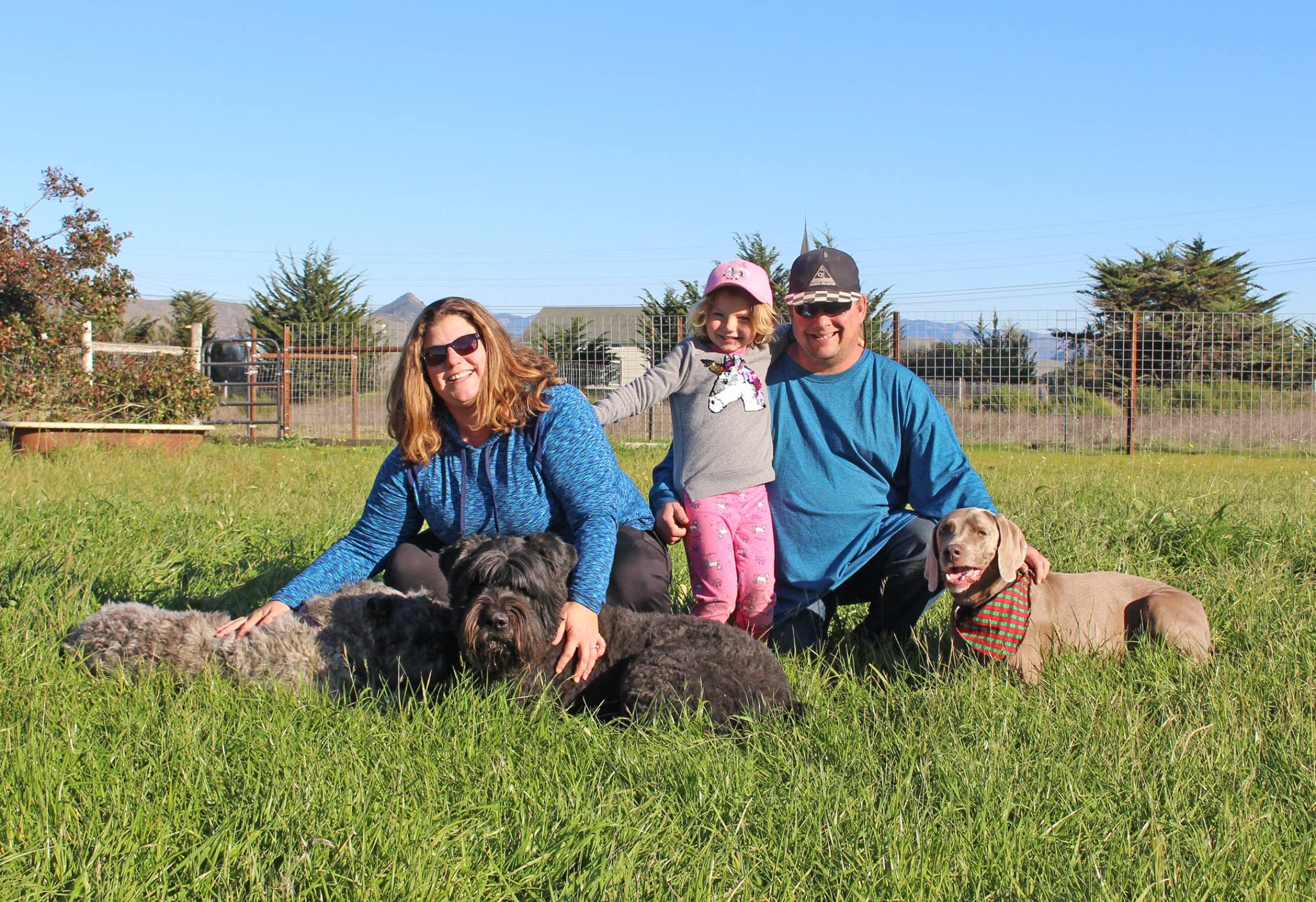 All About Dogs Los Osos Dog fun center grooming, daycare